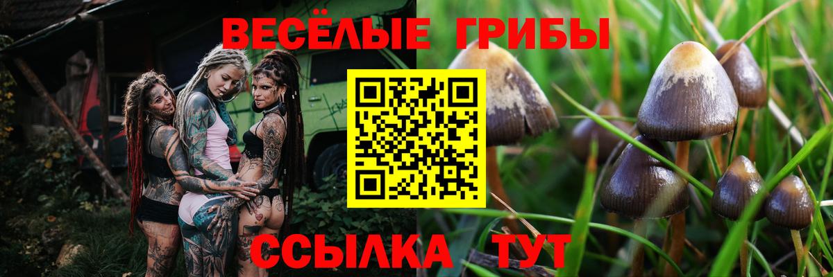 Псилоцибиновые грибы прущие грибы  Вход с VPN  Электрогорск  Галлюциногенные грибы Cubensis 
