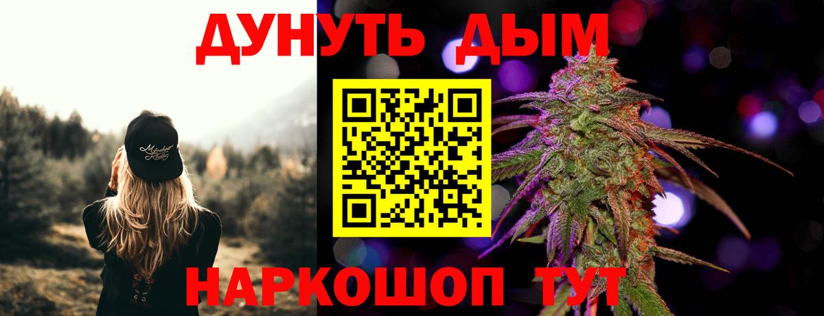 Электрогорск  Марихуана план  Канабис VHQ  Вход с VPN  Бошки марихуана White Widow 